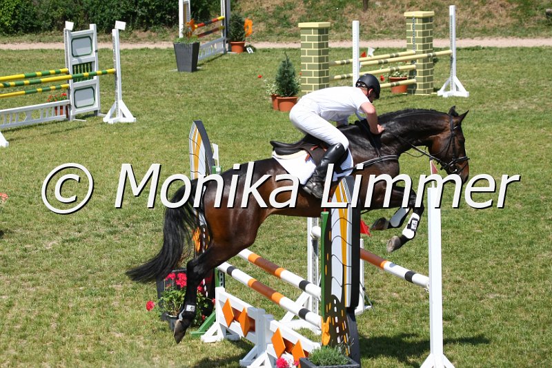 105M0177_Duke of Rabenstein_Springpf_L.JPG